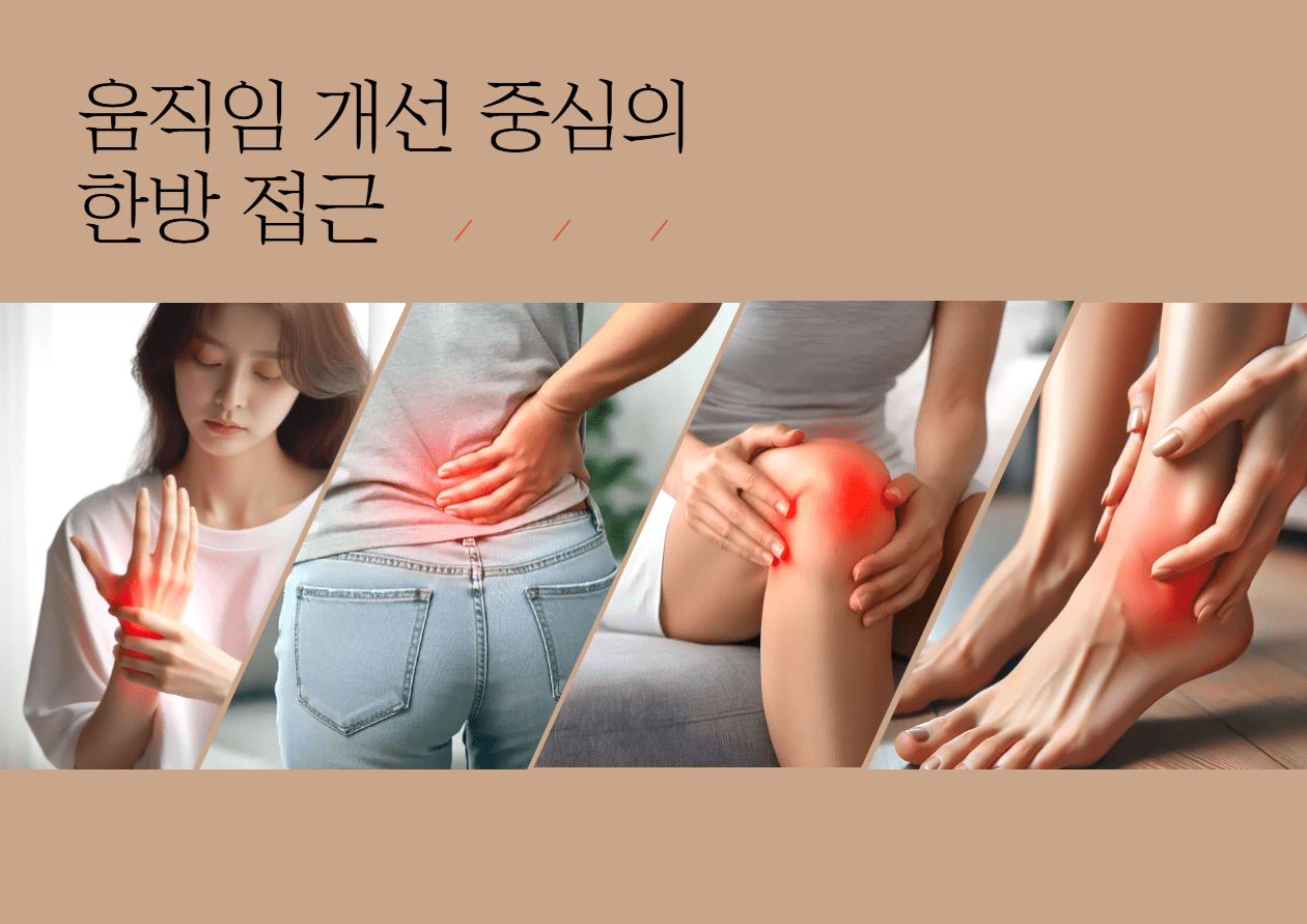일산 교통사고 후 한의원 상담 안내 이미지